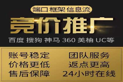 SEM推广案例：揭秘高ROI背后的策略与实践
